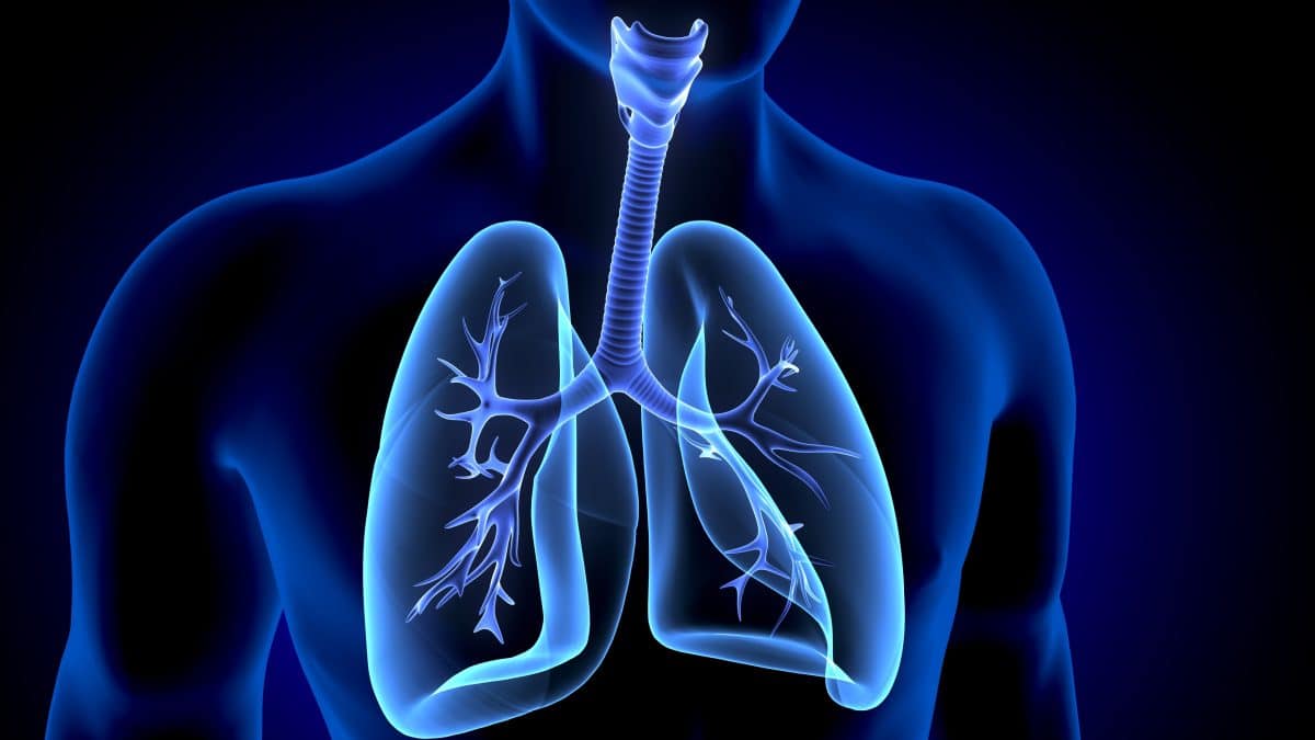 Lundi de la santé : La broncho-pneumopathie, 3ème cause de mortalité en France, à l’ordre du jour ! Les maladies respiratoires sont très souvent négligées par certains patients. Pourtant, ce sont des tueuses silencieuses. Lorsqu’elles sont confondues à des symptômes d’autres maladies, il faut s’en méfier. C’est le cas de la bronchiolite objet de débat ce lundi de la santé. Moins connue par plusieurs, l’OMS la classe pourtant comme une troisième cause de mortalité d’ici une dizaine d’années. La broncho-pneumopathie chronique obstructive sur la liste des causes de mortalité ? L’OMS voyait venir ce mal depuis longtemps. Malheureusement, nombreux sont les patients qui ne savent pas qu’ils sont malades. Ce lundi sera consacré à l’évaluation de ce mal dangereux en France. Dans le monde entier, ce sont des milliers de personnes qui en meurent chaque année. La France connait particulièrement jusqu’à un peu moins de quatre millions de malades. Ce qui doit inquiéter le plus est que la majorité n’est pas diagnostiquée. Elle est considérée à tort comme un simple rhume par plusieurs personnes. Ce qui occasionne des complications fatales dans le temps. Quelques chiffres inquiétants En France, on estime à environ 17 000 chaque année, le nombre de personnes qui meurent de cette maladie. Les personnes âgées sont plus concernées. Au-delà de la quarantaine, les hommes sont les plus touchés. Ils sont environ 55% des malades contre 45% chez les femmes. Une centaine de milliers de patients passent facilement par les services d’hospitalisations chaque année. Néanmoins, ce n’est pas une maladie d’adulte uniquement, tous les âges sont concernés. Nombreux sont les facteurs favorisants cette maladie qui progresse lentement vers la complication. Qu’est-ce qui cause la broncho-pneumopathie ? Etant une maladie respiratoire, il y a des saisons favorables à sa propagation, particulièrement celle hivernale. Cela ne veut pas dire que la maladie n’existe pas les autres saisons. La pollution qui l’occasionne existe toutes les saisons. Toutefois, la première cause jusqu’à ce jour reste le tabagisme. Si vous êtes un fumeur actif ou passif, vous devez aller consulter un médecin pour vous rassurer de votre état. On estime à plus de 80% les cas liés au tabagisme. C’est une maladie qui atteint aussi plus facilement les personnes qui s’exposent à diverses formes de pollution. On parle des pollutions chimiques par les pesticides, et autres gaz de différents engins. L’essentiel de ce lundi de la santé Il est attendu pour ce jour plusieurs spécialistes de la santé comme Christophe Gut-Gobert, Claude Zaabbe, Régis Plumet. Le mal sera expliqué à partir de ses causes, ses symptômes, ses conséquences sur la santé, et évidemment comment le dépister et le soigner. Pour l’instant, il faut retenir simplement que ce sont les parois des bronches qui sont touchées de même que des bronchioles. Il se produit un peu plus de mucus qui encombrent les voies respiratoires. Progressivement, les poumons subissent une déformation. En attendant le diagnostic, le patient ne se rend pas tout de suite compte qu’il est victime d’une broncho-pneumopathie. Dans la majorité des cas, les mauvaises habitudes causes du mal se poursuivent et aggravent la situation. C’est l’une des raisons pour lesquelles le passage à l’hospitalisation est fréquent.