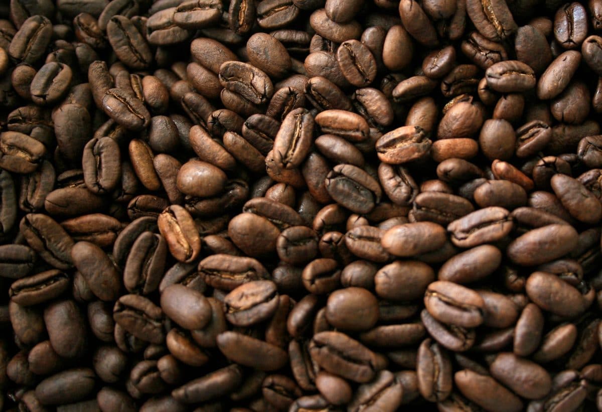 Santé : Le café aurait des effets inattendus sur la santé, des études montrent une diminution de la taille du cerveau chez les gros consommateurs du café !