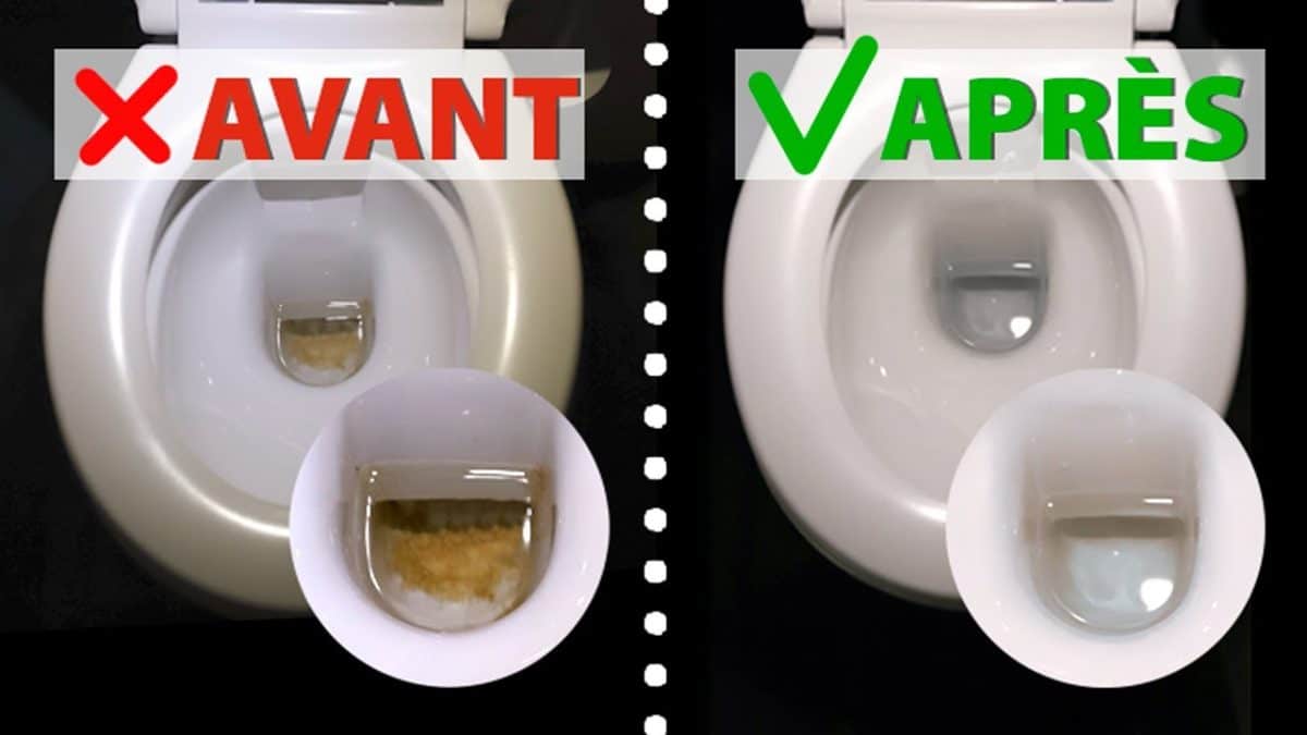 Nettoyage : comment enlever les tâches du fond de la cuvette des WC