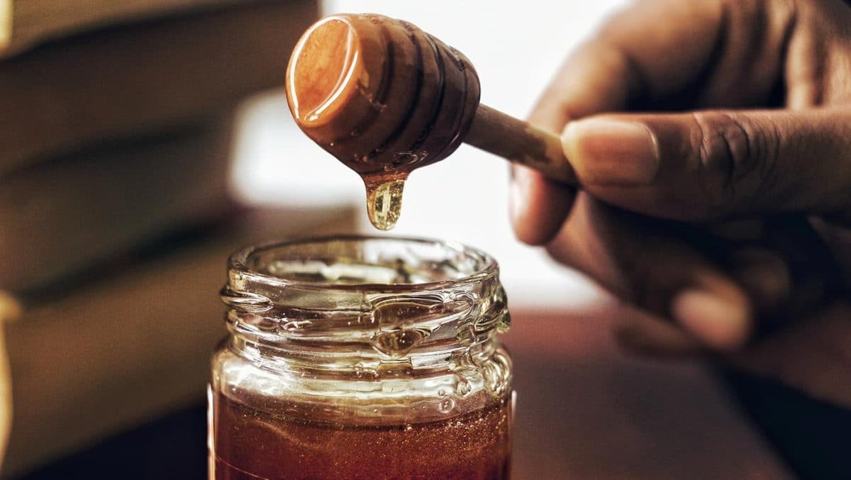 Santé : quels sont les avantages du miel pour votre santé que vous devez connaître