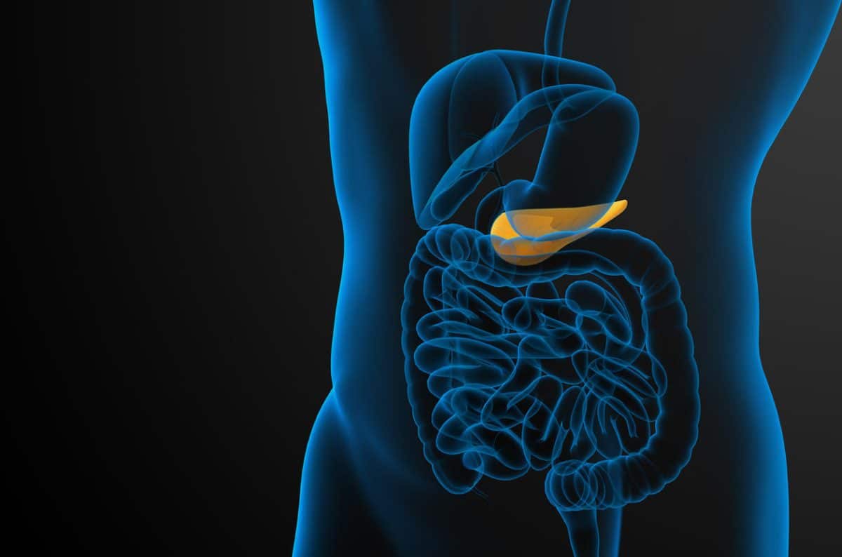 Cancer du pancréas, quels sont les aliments qui peuvent vous aider à l’éviter ?