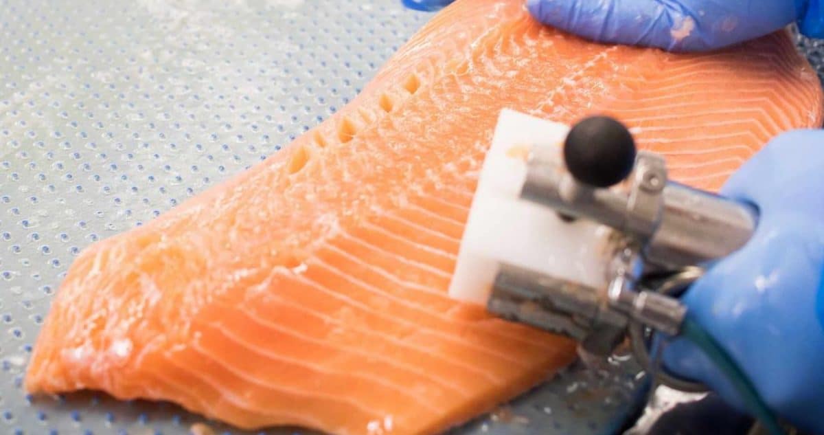 Du saumon fumé délicieux - Source : Instagram / abrahamsfeinefischkost